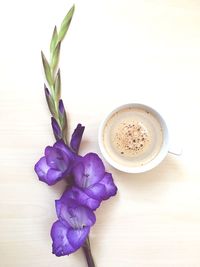 High angle view of tea and flowers