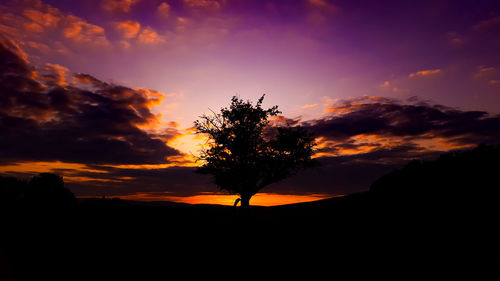 Silhouette tree against sky during sunset