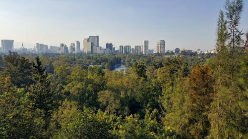 View of trees and cityscape against clear sky