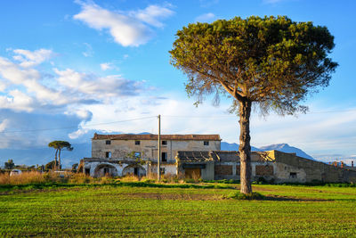 rural area