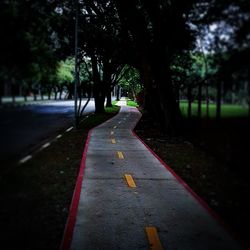 Surface level of road along trees