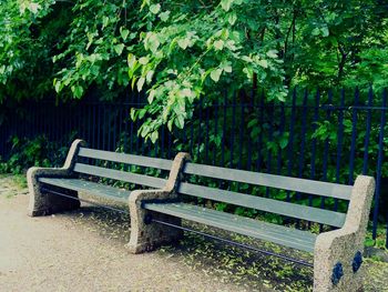 Empty bench in park