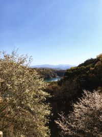 Scenic view of landscape against clear blue sky