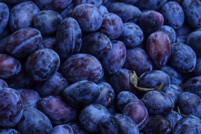 Full frame shot of blueberries