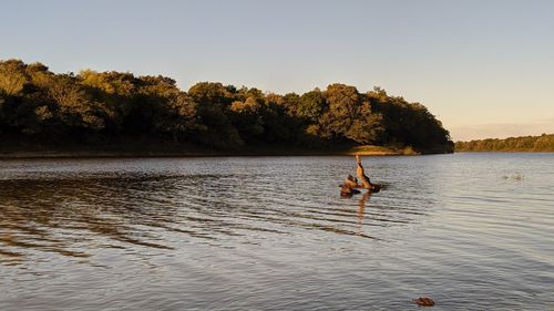 Person swimming in lake against clear sky