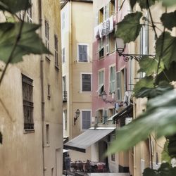 Residential building in nice 