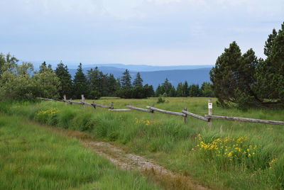 Scenic view of grassy field against sky