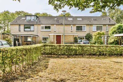 Houses in park