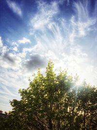 Low angle view of trees against sky