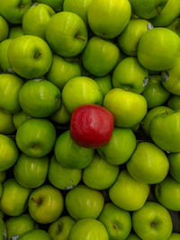 Full frame shot of apples