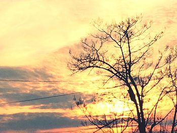 Bare trees against sky at sunset