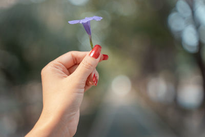 Close-up of woman hand holding blurred background