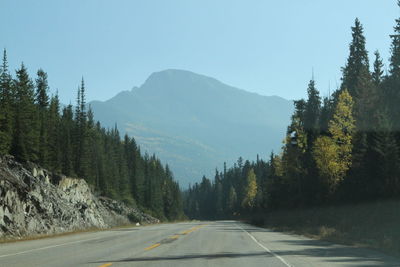 Road amidst trees against clear sky