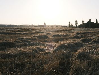 Scenic view of field against clear sky