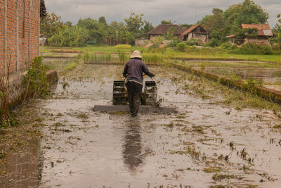 Rear view of man standing in farm