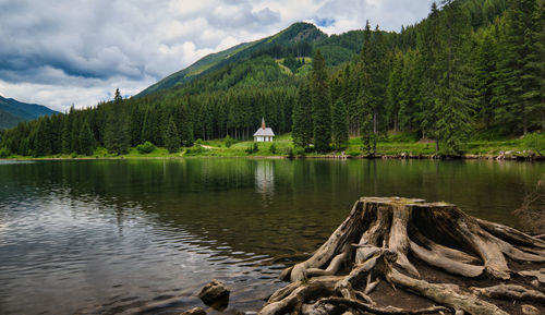 Scenic view of lake in forest against sky