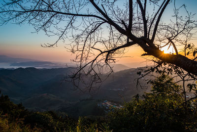 Silhouette tree against mountains at sunset