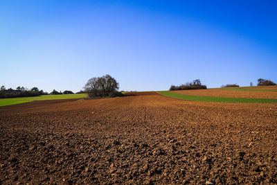 Scenic view of agricultural field against clear blue sky