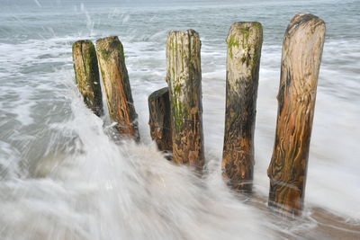 Close-up of wooden posts in sea