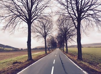 Road amidst bare trees against sky