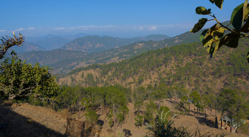 landscape