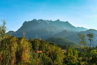 Scenic view of mountains against clear blue sky