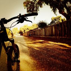 Road passing through trees