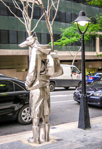 Horse cart on street in city