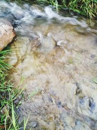 Close-up high angle view of water