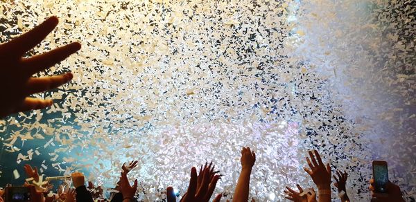 Group of people at music concert