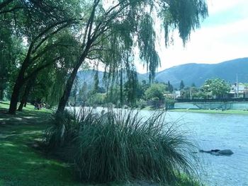 Scenic view of river against sky