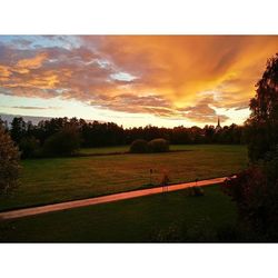 Scenic view of grassy field against sky at sunset