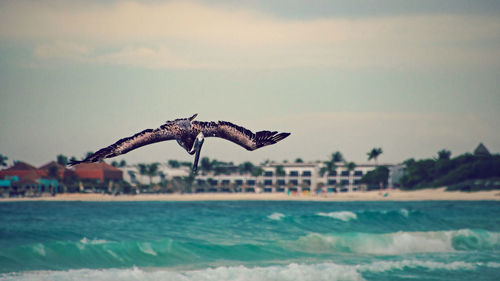 Seagull flying over sea against sky