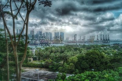 View of trees in city against cloudy sky