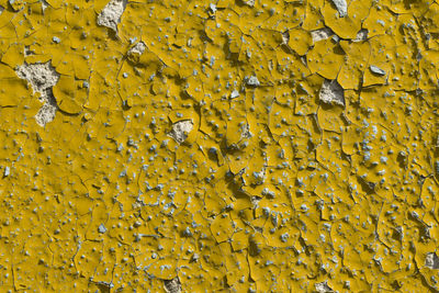 Full frame shot of yellow wall