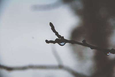 Close-up of metal against sky