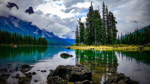 Scenic view of lake and pine trees against sky