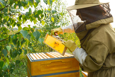 Rear view of man using mobile phone