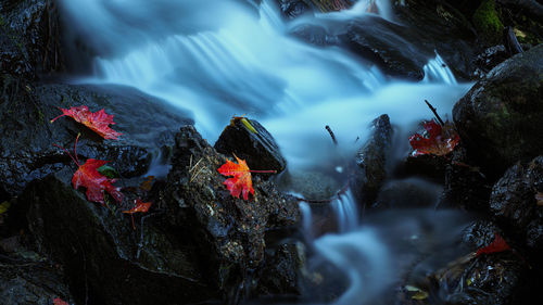 Close-up of waterfall