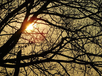 Low angle view of silhouette bare trees against sunset