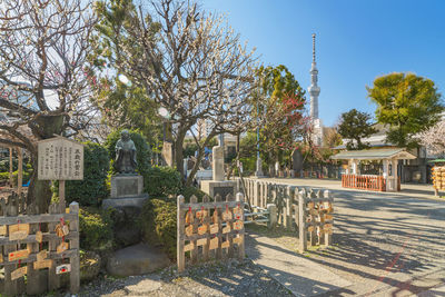 Trees growing in cemetery against sky