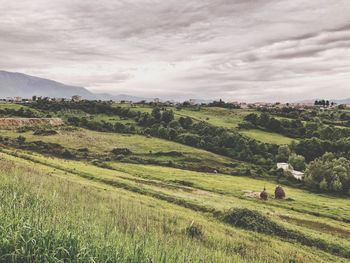Scenic view of agricultural field against sky
