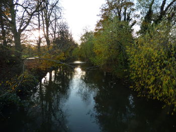 Reflection of trees in lake against sky