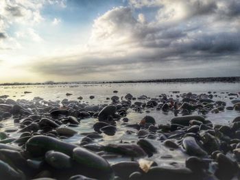 Scenic view of beach against sky