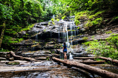 Scenic view of waterfall in forest