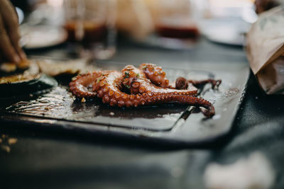 Octopus dish