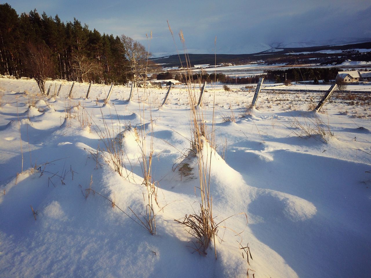 nature, winter, cold temperature, snow, beauty in nature, tranquility, tree, sky, no people, tranquil scene, scenics, landscape, outdoors, day