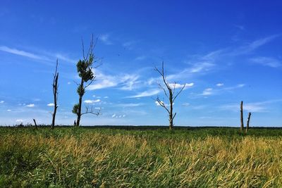 Scenic view of field against cloudy sky