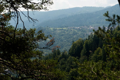 High angle view of trees and mountains