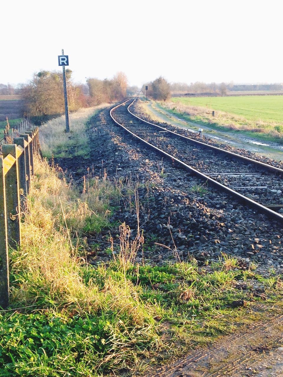 transportation, railroad track, rail transportation, field, the way forward, landscape, diminishing perspective, rural scene, agriculture, vanishing point, clear sky, grass, public transportation, farm, growth, day, nature, plant, tree, mode of transport